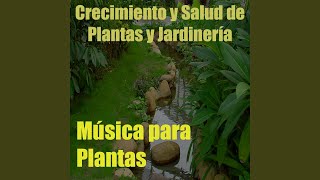 Música para Plantas, Vol. 4 (Crecimiento y Salud de Plantas y Jardinería)