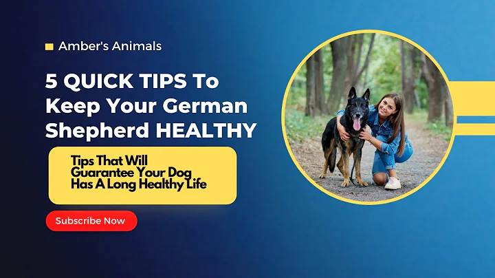 5 QUICK TIPS to Keep Your German Shepherds HEALTHY