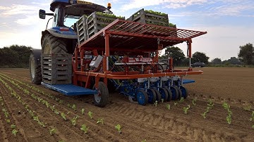 Ferrari Fast Block - Vegetable Transplanter