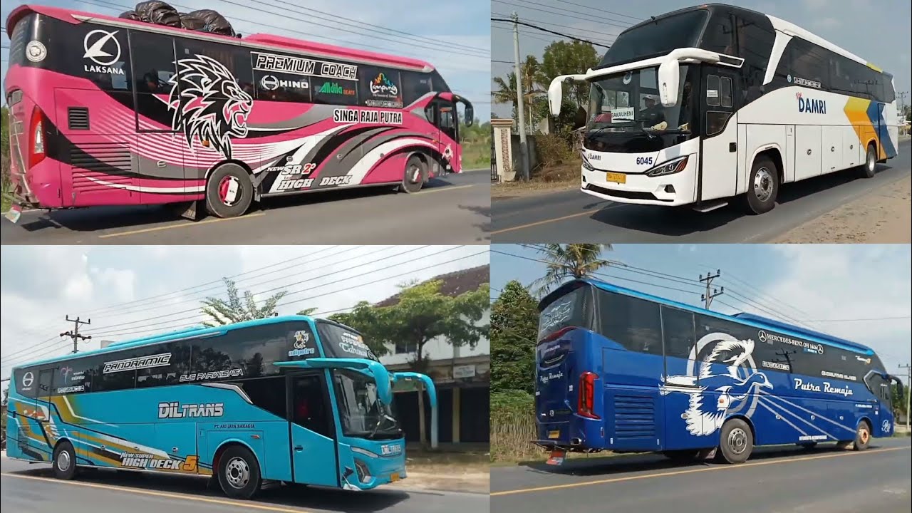 BUS PUTRA REMAJA, BUS SINGA RAJA PUTRA, BUS DIL TRANS, BUS DAMRI, BUS ...