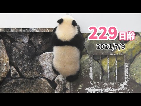 Hfziafs7jfkudm Hfziafs7jfkudm