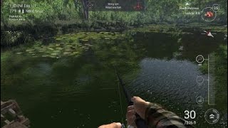 Fishing Physics
