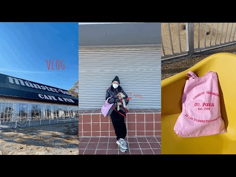 Vlog | 파주 애견카페&운동장 PP Cafe🐶,  대형 카페&베이커리 뮌스터담🇩🇪, 쿠쿠와 보내는 하루