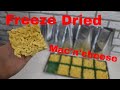 Freeze Dried Macaroni and Cheese // 1 Serving Portions w/ recipe