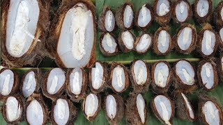 Palmyra Palm seeds | Germinated Palm Seed | Young Seed | Did You Ever Eat Or Seen Before?