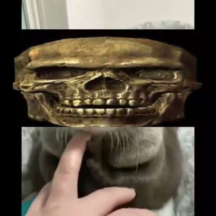 the skeleton appears