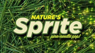 Foraging Nature’s Sprite: Pine-Needles to Pop!