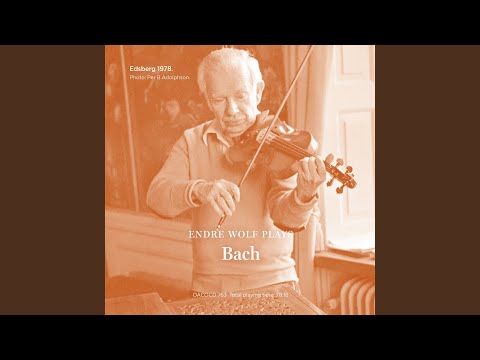 Concerto No. 1 in A Minor for Violin and Orchestra, BWV 1041: I. First movement