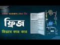 ফ্রিজ কিভাবে কাজ করে | How does a Refrigerator (fridge) work ?