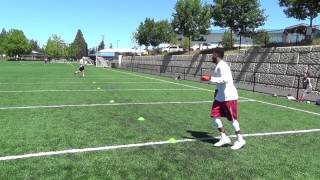 Brandon Gibson Miami Dolphins