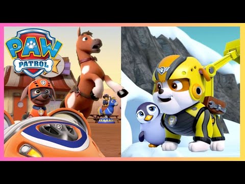 PAW PATROL - ANIMAL RESCUES! PUPS SAVE A HORSE, A PENGUIN +MORE! 2H COMPILATION
