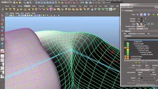 painting weights in Maya part 2