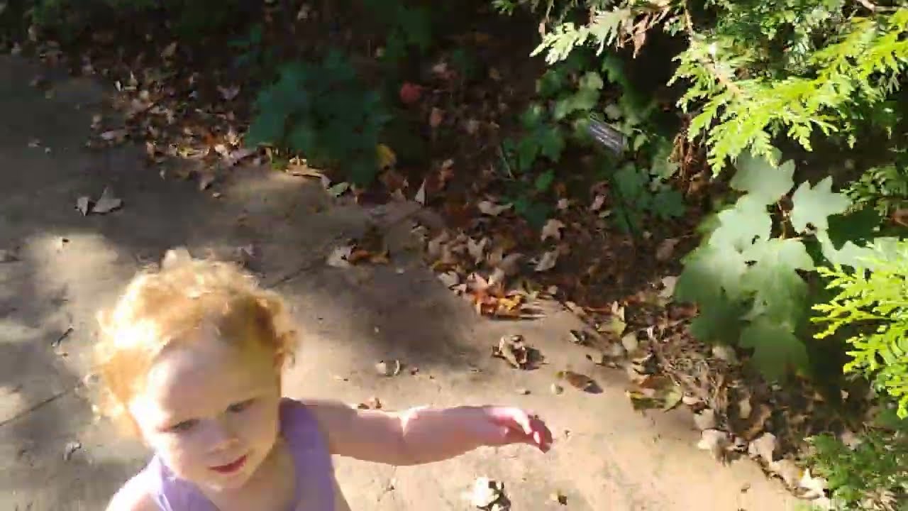 The Mountain Mama Diaries Ep. 84 Wandering the Garden Paths 🤍