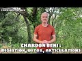 Chardon bni  digestion dtox articulations