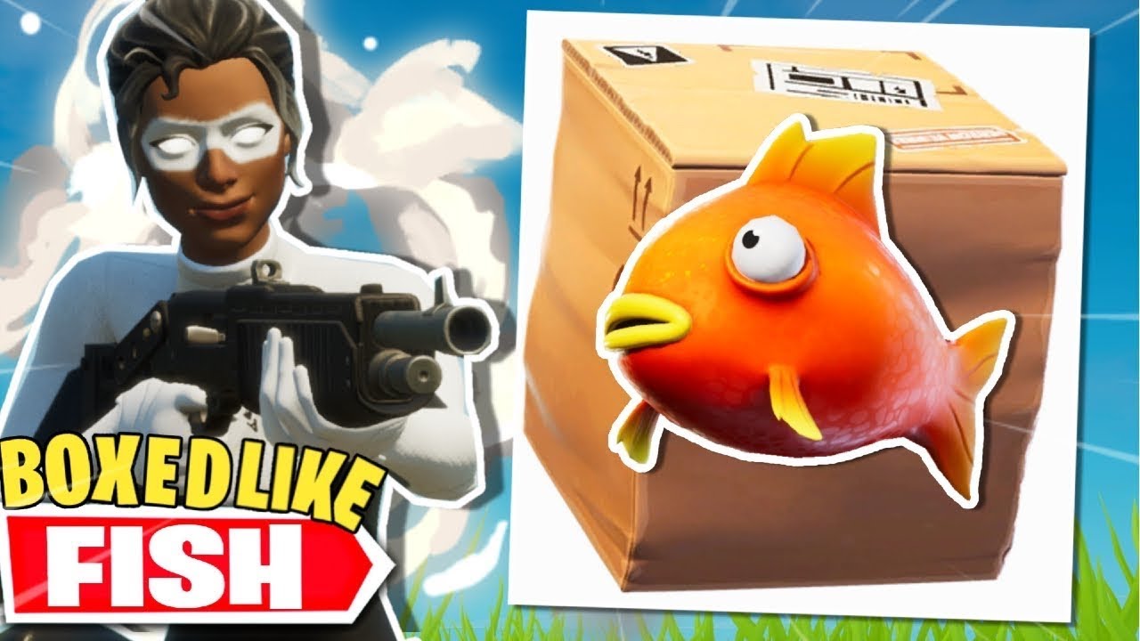Boxed Like A Fish YouTube Boxed Like A Fish YouTube