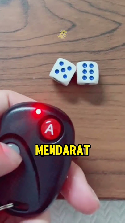 Dadu Remot Kontrol!
