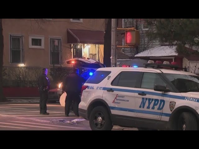 3 Police Officers Attacked In Brooklyn Man In Custody Nypd