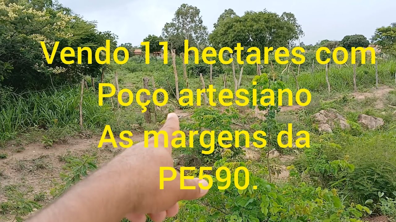 Ipubi-Pe. Valor 250 mil. 87981363923