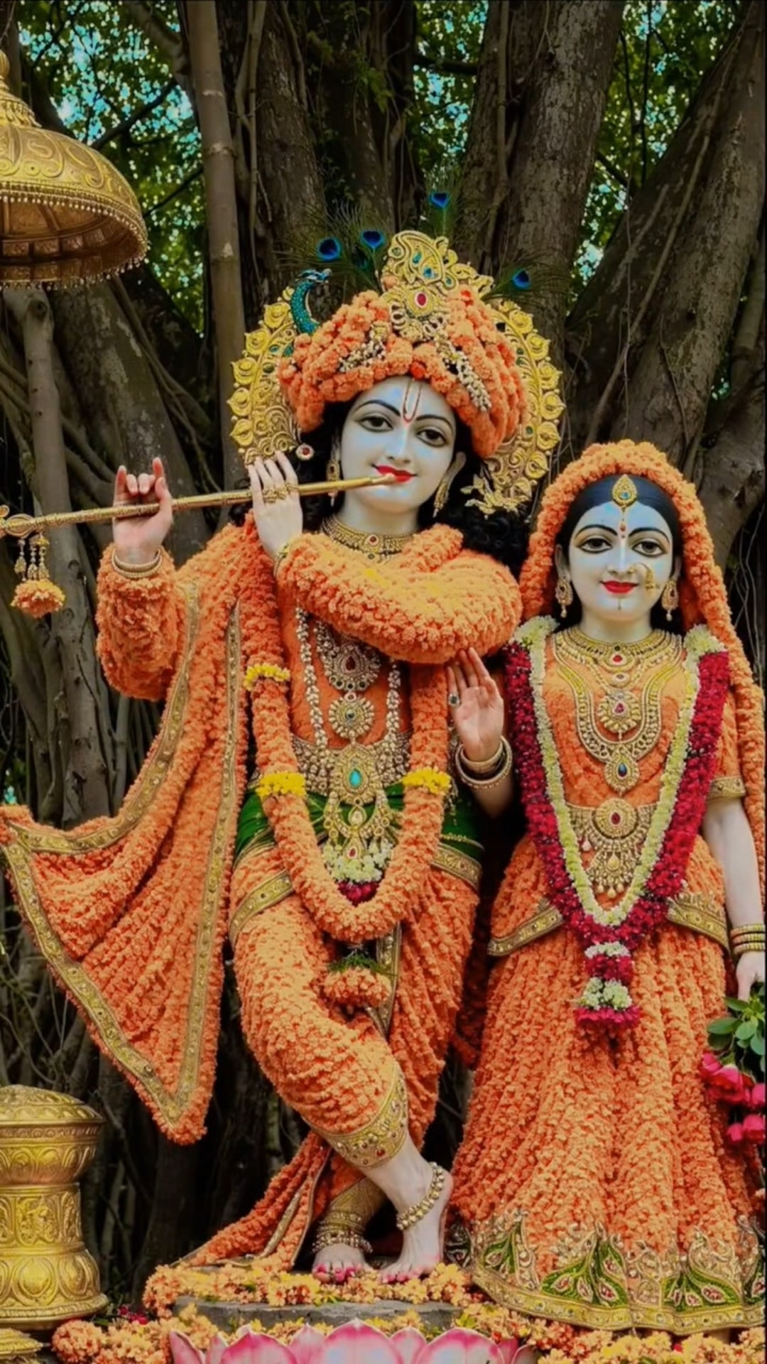 🙏रोजाना भक्ति स्टेट्स - ShareChat