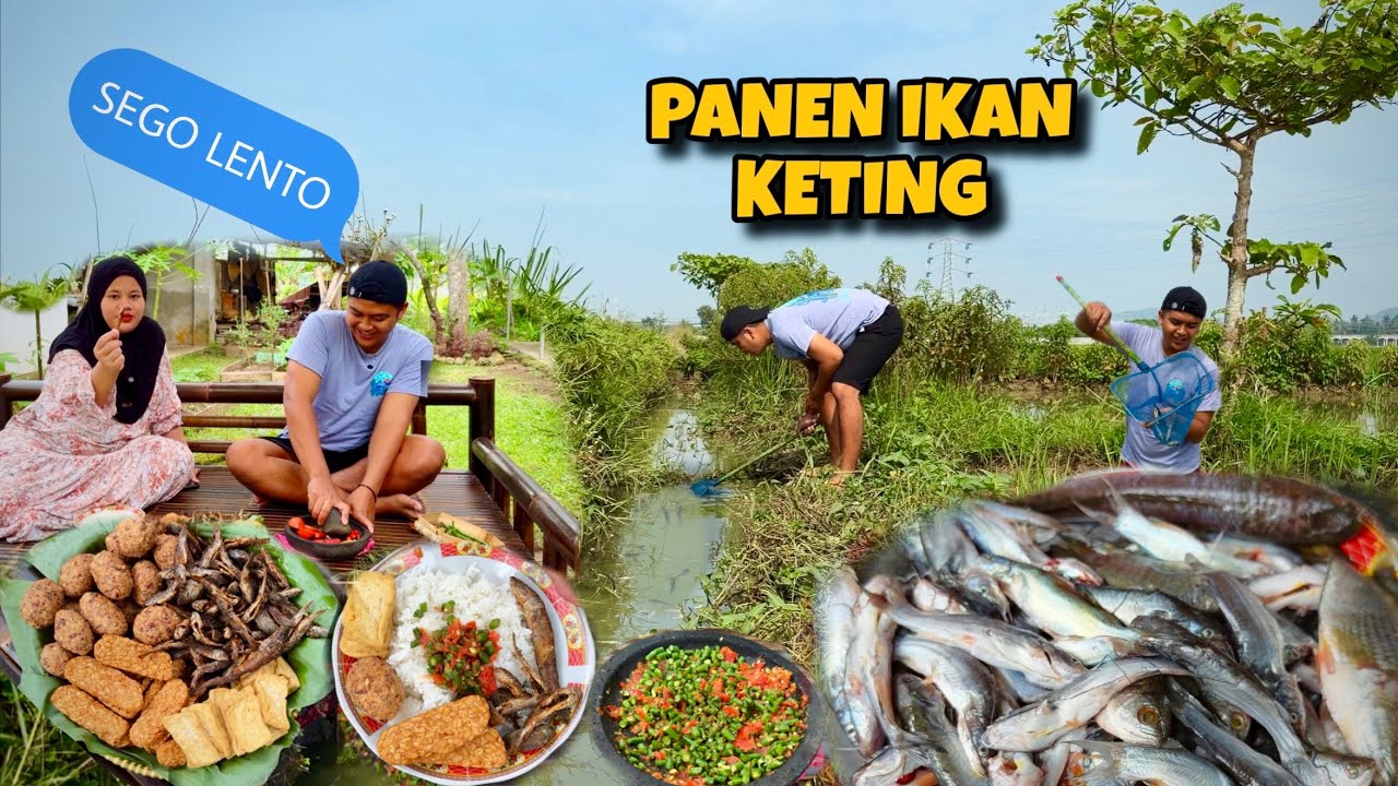 SEGO LENTO || BERBURU IKAN DI PARIT PERSAWAHAN DAPAT BANYAK GESSSS REJEKI NOMPLOK…‼️😍