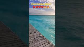 Beautiful Hanimadhoo Beach Near The Airport Looks Awesome And Relaxing