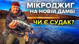 Осінній мікроджиг, дамба. В батлі з судачками окуні перемогли: задавили кількістю )