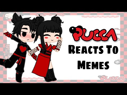 Download Pucca Reacts To Memes || Pucca x Garu || Gacha Club