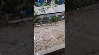 Download Lagu suwasane kayanya pas di kampung MP3