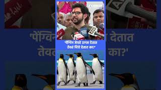'मुख्यमंत्र्यांना रिप्लाय येत नसेल तर अजून कुणाला येणार?'| Aaditya Thackeray