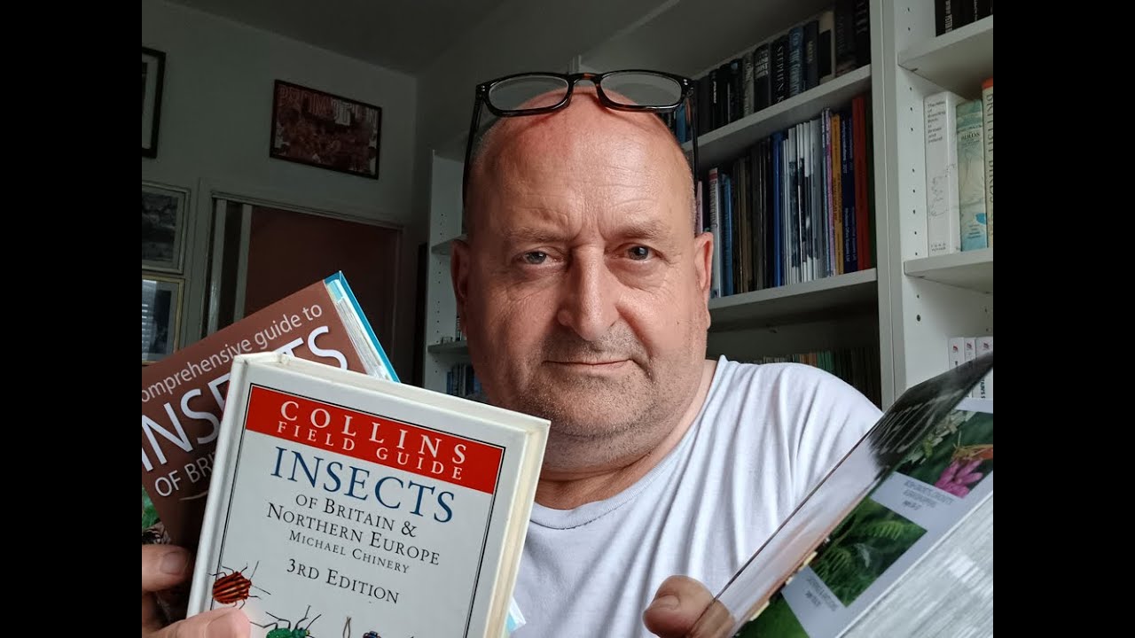 The best insect book YouTube