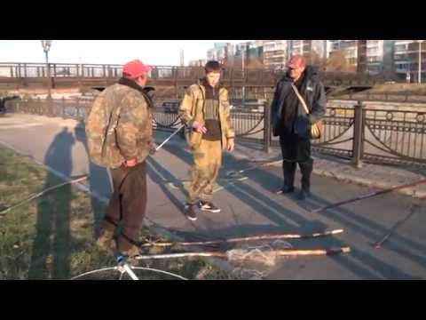 Рейд против браконьеров в центре Красноярска