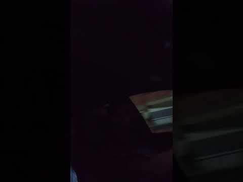 صوت جميل جدا حماقي أنا زيك برضه واكتر