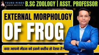 External Morphology of Frog |