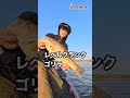 2026年5月16日