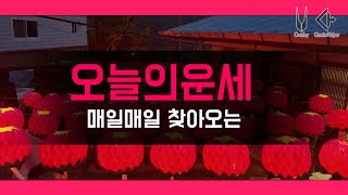 대박 오늘의운세 2024년4월1일 월요일 재회운/연애운/애정운이 좋은 띠 (돼지띠/토끼띠/양띠) #오늘의운세…