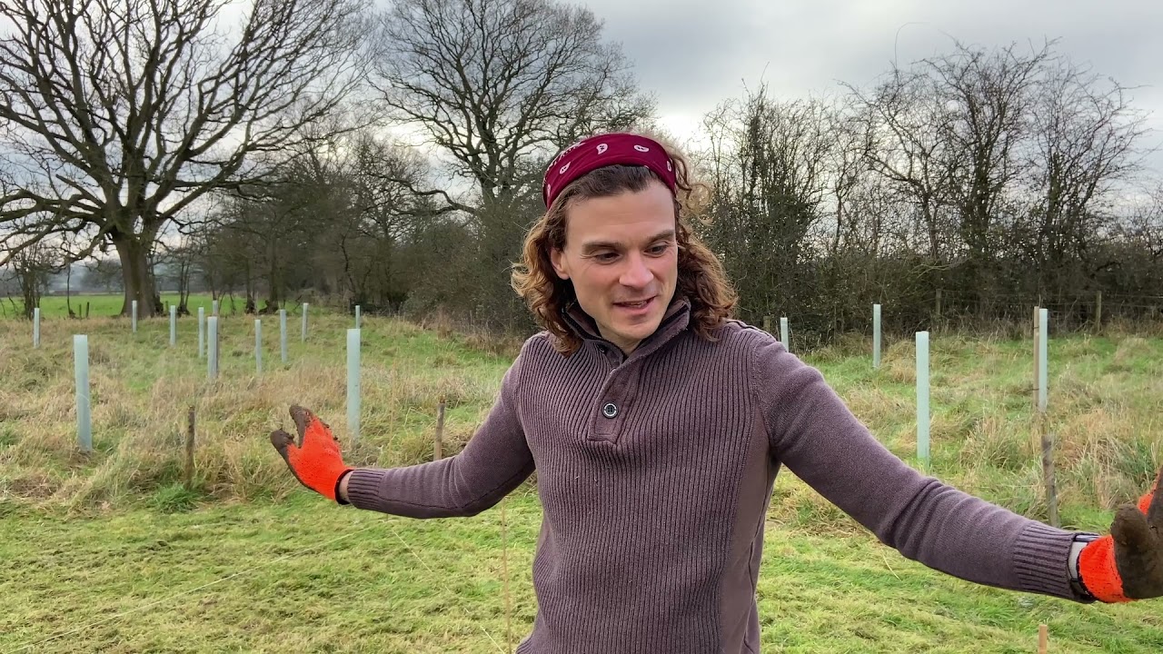 🌳 NINEBARROW WOODLAND UPDATE 15 😊 - December 2021, Part 3