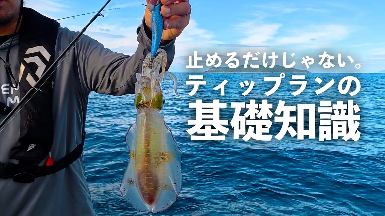 もっと釣るためのティップランエギング基本【エンバーメイズ】