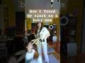 How I found my spark as a busy mom (Painting for Beginners)