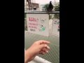 鳩が懐いた!!!