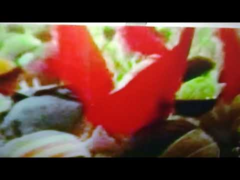 أغنية حنا مغاربة لبشير عبدو بمناسبة ذكرى المسيرة الخضراء العزيزة على قلوبنا