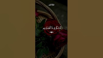 سورة النور#تلاوة_القرآن_الكريم #اكسبلور #المصحف #دويتو #لايك #الرقية_الشرعية #الجزائر #مصر #السعودية