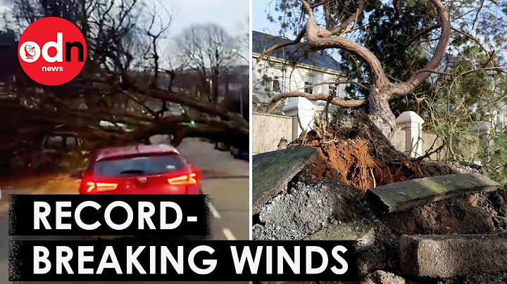 Eyewitness Footage Captures Powerful Storm Éowyn Battering UK and Ireland
