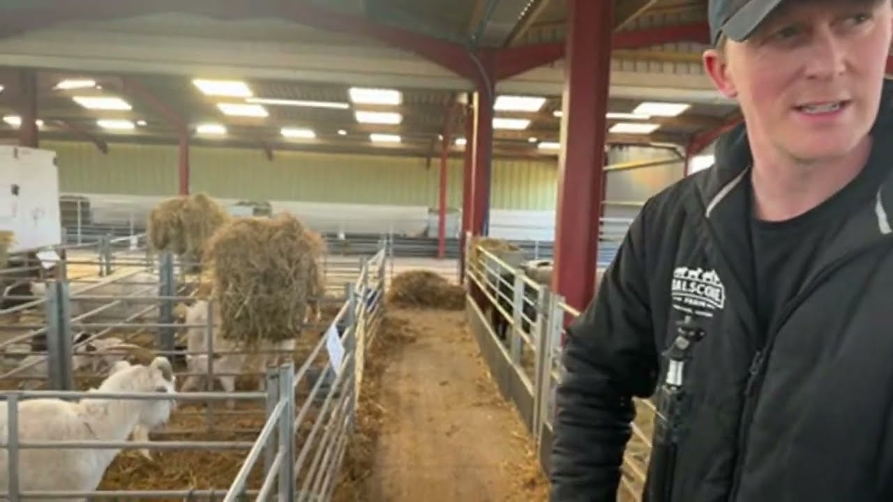 Dalscone quadruple birth!! 🚨