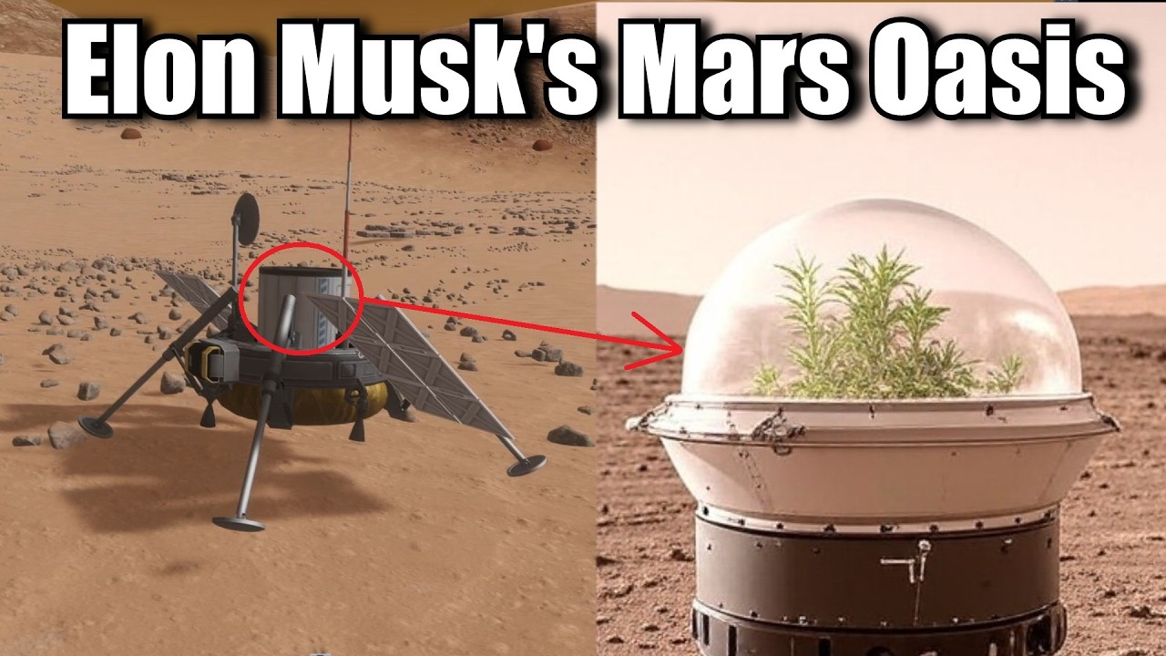 Elon Musk's Abandoned Plan To Grow Plants On Mars - Mars Oasis