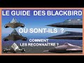 Le Guide des Blackbird:Versions, reconnaissance,records, pertes.(A12,SR71,YF12...)