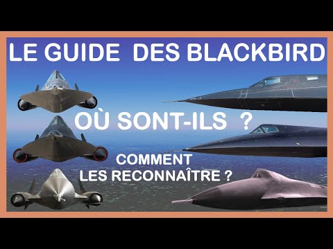 Le Guide des Blackbird:Versions, reconnaissance,records, pertes.(A12,SR71,YF12...)