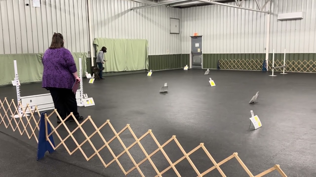 Stella Rally Toledo Kennel Club 2/28/2026