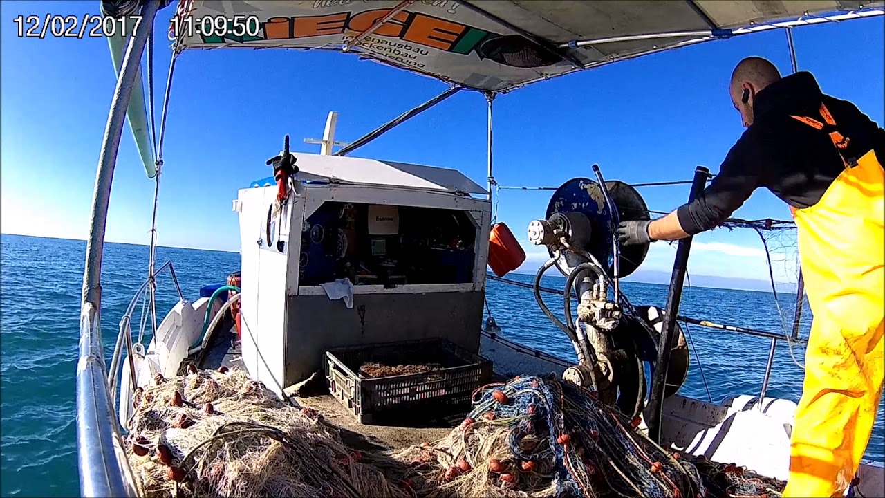 ΨΑΡΕΜΑ ΜΕ ΔΙΧΤΥΑ