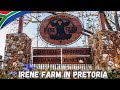 🇿🇦Bring Your Family To This Farm In Pretoria✔️