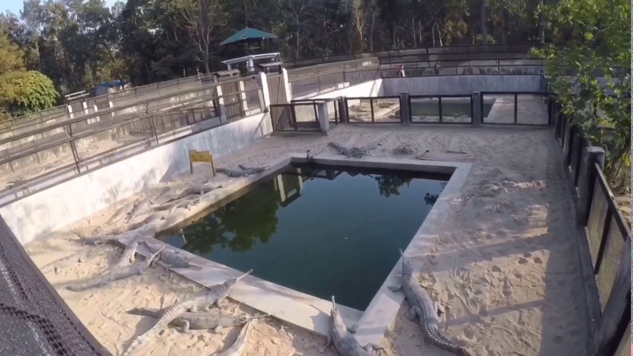 Chitwan National Park - KASARA Ep. 1
